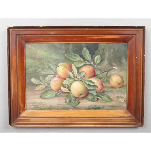 96 - Joseph Bunker (British 19th century), a framed watercolour, still life of apples. Signed. 29.5cm x 4... 