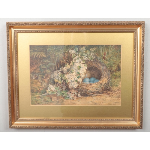 99 - A Shepherd, an early 20th century gilt framed watercolour of still life of a woodland floor with bir... 