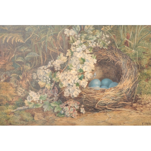 99 - A Shepherd, an early 20th century gilt framed watercolour of still life of a woodland floor with bir... 