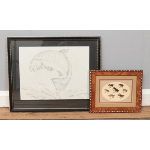 363 - Gordon Chell, a framed pencil drawing of a fish, along with a framed collection of gut eyed salmon f... 