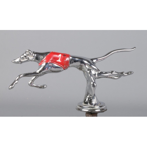 513 - A Desmo car mascot formed as a running Greyhound, with painted red jersey.