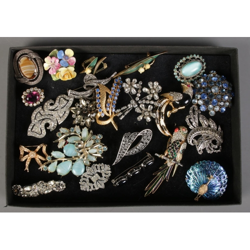 240 - A tray of brooches. Including marcasite, bird examples, etc.