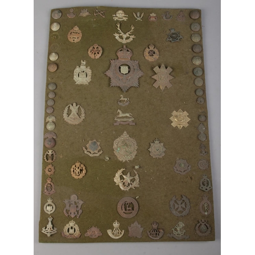 335 - A board of military badges and buttons. Including Argyll and Sutherland cap badge, RAF, Australian C... 