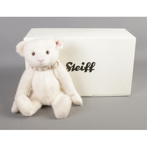 175 - A limited edition Steiff White Alpaca teddy bear, 00841, with box.