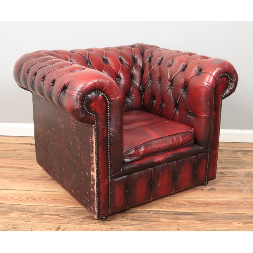 423 - An oxblood leather Chesterfield club arm chair.