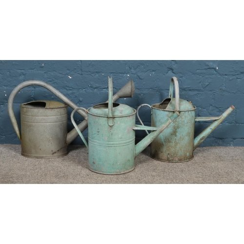 273 - Three galvanised watering cans, one with rose head.