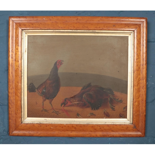 345 - A framed oil on board, scene depicting two cocks post fight. 21.5cm x 26cm.