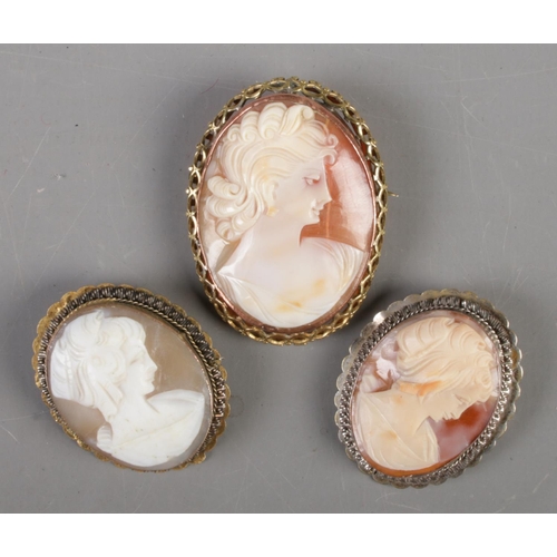 336 - Three cameo brooches with yellow metal mounts, portraits of maidens.