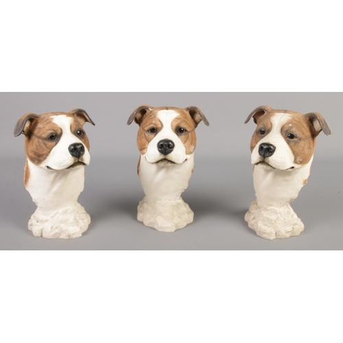 34 - Three Sherratt and Simpson resin dog busts, 55159.