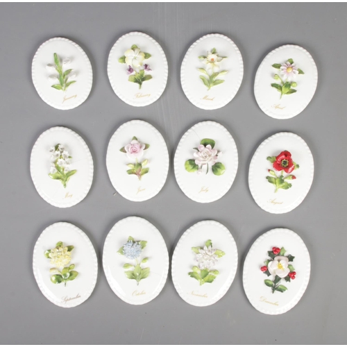 234 - Coalport flower of the month plaques all having various flowers labelled with each month on white ba... 