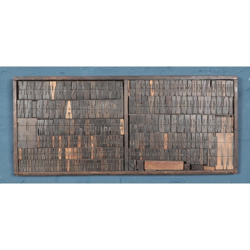 291 - A display frame containing a collection of wooden printing blocks. Height: 36cm, Width: 82cm.