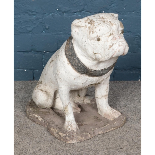 328 - Reconstituted stone painted bull dog with studded collar 

Hx45cm