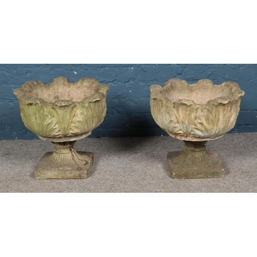 343 - A pair of circular concrete planters. Approx. dimensions 45cm x 39cm.