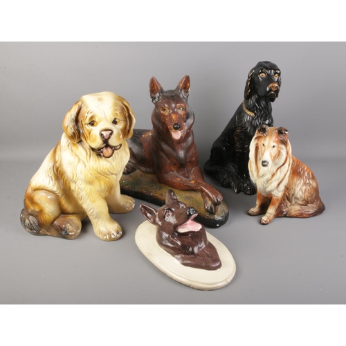 377 - A collection of five large pottery dogs including a wall mount example.