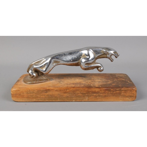 64 - Jaguar mascot mounted on a wooden plinth base.