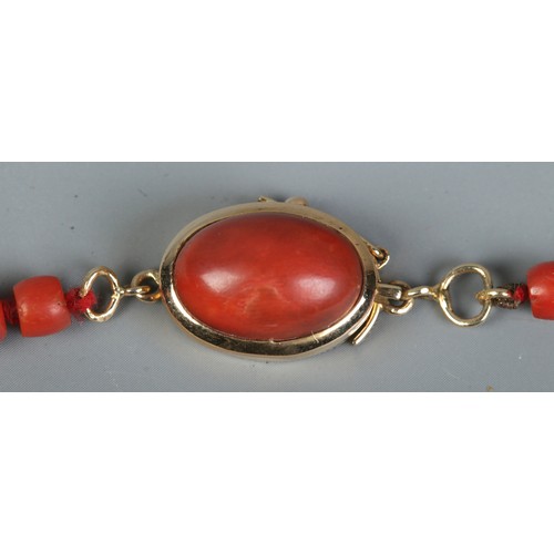 475 - A graduated coral necklace with gold clasp set with  cabochon coral. Unclasped length 80cm. Tests as... 