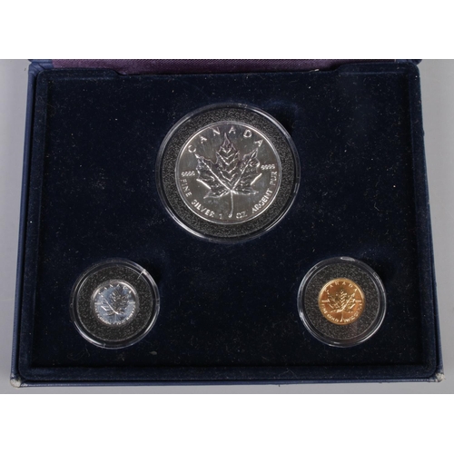 373 - A cased set of three 1996 Westminster Canadian coins. To include fine silver 1oz 5 Dollars, fine pla... 