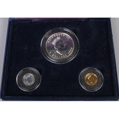 373 - A cased set of three 1996 Westminster Canadian coins. To include fine silver 1oz 5 Dollars, fine pla... 