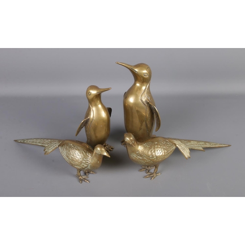 74 - A pair of brass pheasants with a pair of brass penguins.