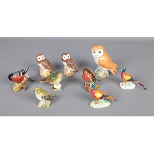 83 - Nine Beswick bird figures including Owl, Robin, Greenfinch and Goldcrest.