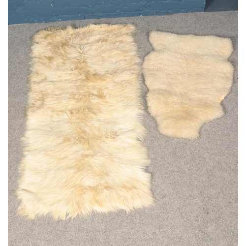 263 - Two sheep skin rugs. Largest example (164cm x 80cm)