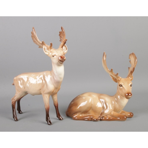 411 - Two Beswick 'Stag' deer, including sitting '954' example.