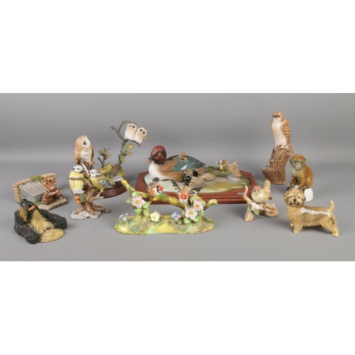 94 - A collection of ceramic and resin animal figure groups. To include examples by Country Artists and B... 