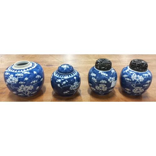 112 - Four Oriental blue & white ceramic ginger jars with Prunus Blossom decoration. Includes pair with wo... 