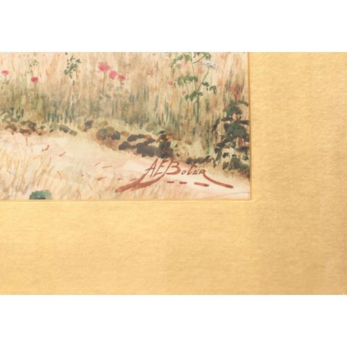 221 - A.E Boler gilt framed watercolour depicting field of wildflowers. Approx. dimensions 59.5cm x 75.5cm... 