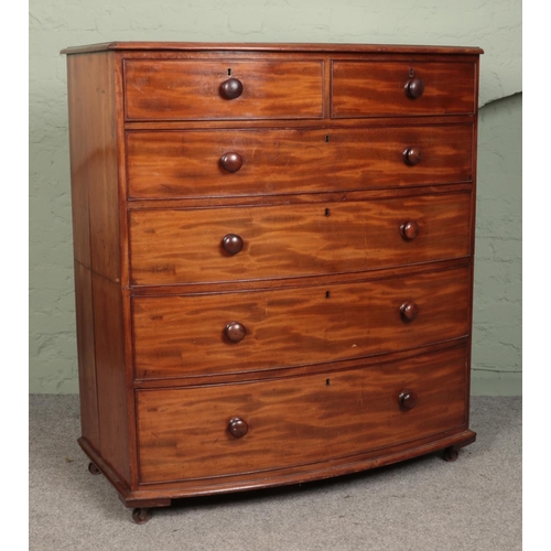 484 - A Victorian mahogany bow fronted splitting chest of two over four drawers, raised on casters. Height... 