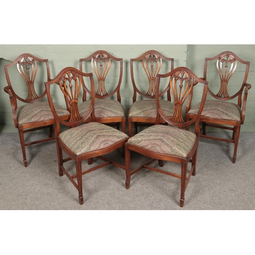 485 - A set of six mahogany Hepplewhite style dining chairs. Includes pair of carver examples.