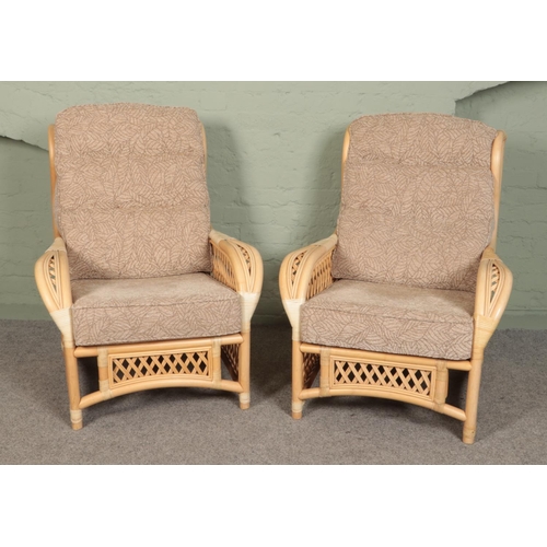 504 - Two conservatory armchairs, with foliate upholstered seat and back rest.