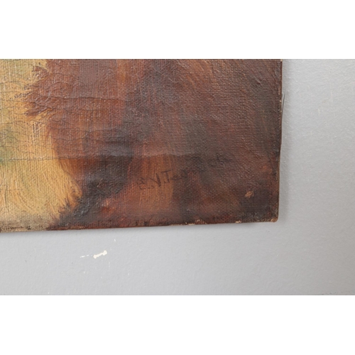 138 - EV Teasdale, an unframed oil on canvas, study of a St Bernard dog. 26cm x 31cm.
