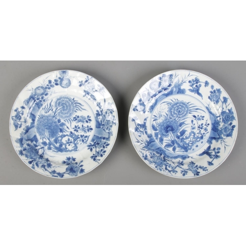 31 - A pair of Chinese Kangxi blue and white dishes decorated in underglaze blue with flowers. Bearing in... 