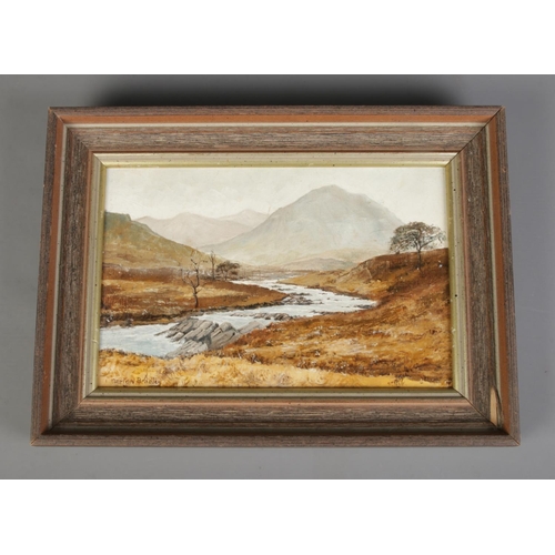 391 - Marion Bradley (B.1946) framed oil on board depicting countryside landscape. Approx. dimensions incl... 