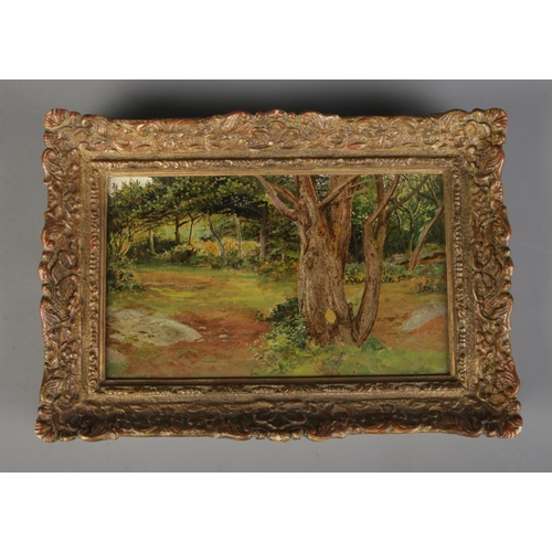 392 - Attributed to Thomas J. Purchas (B. 1851) framed oil on board depicting woodland landscape. Approx. ... 