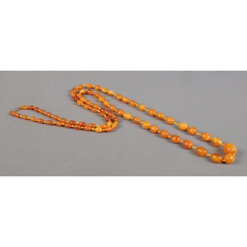 411 - A long string of egg-yolk amber/copal beads. Approximate weight: 33.5g