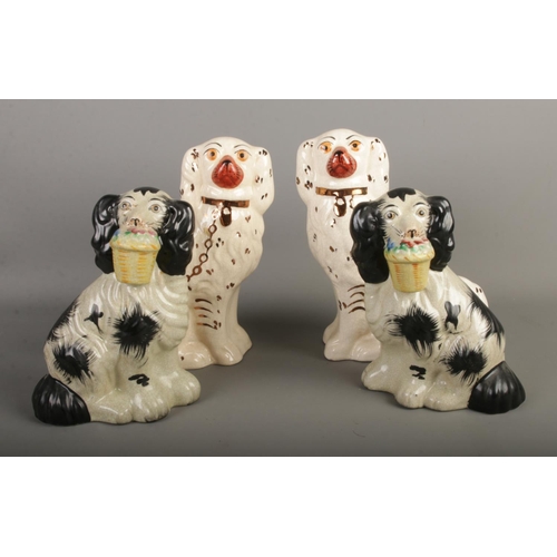 28 - Two pairs of Staffordshire mantel dogs including pair carrying flower baskets. Tallest example appro... 