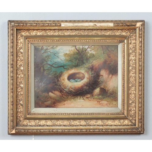 292 - An early 20th century gilt framed oil on board, depicting a  woodland floor with birds nest and eggs... 