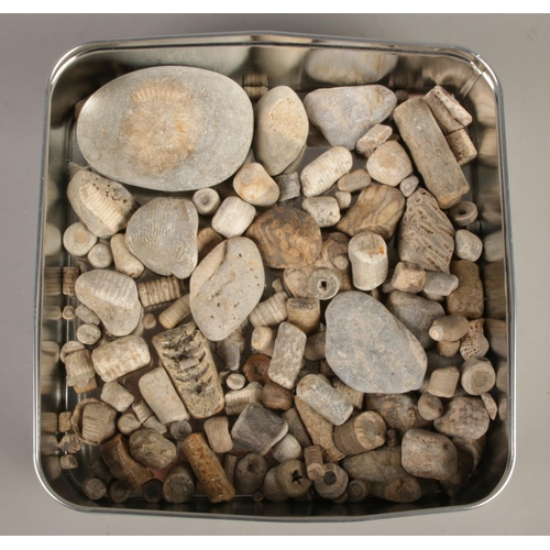 110 - A tin of fossils and geological specimens.