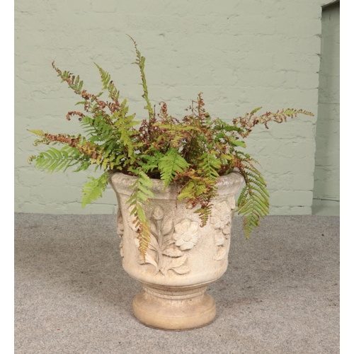 274 - A cast concrete garden urn, decorated with osteospermum, containing ferns. Height of urn: 45cm.