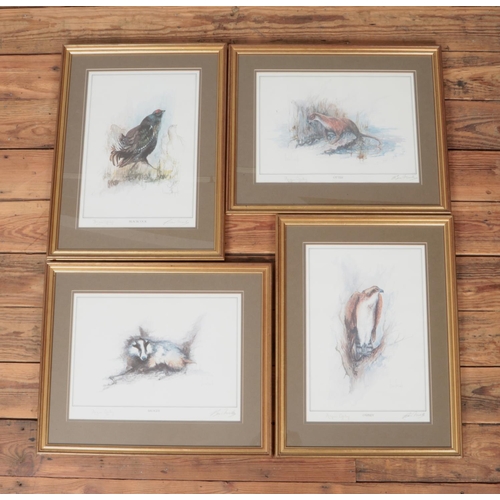 304 - After Ben Maile (1922-2017) four signed prints of Badger, Otter, Osprey & Blackcock