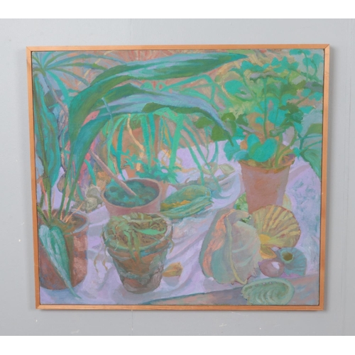 320 - Jenny Webb, Pot Plants, oil on canvas c1980

79x71cm