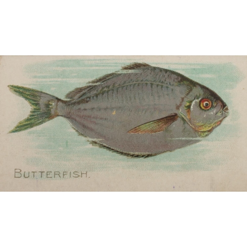 110 - The American Tobacco Co. (ATC); 50 Fish From American Waters Cigarette Cards. 24 cards.