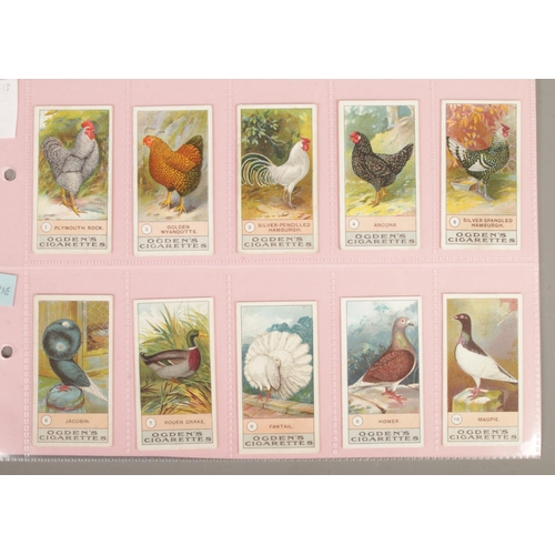 86 - Ogden's Cigarettes; Fowls, Pigeons and Dogs Cigarette Cards. Green back. Full Set, with variation on... 