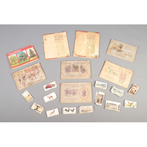 81 - A good collection of cigarette cards, to include Wills complete packs 'Wild Flowers', 'Association F... 