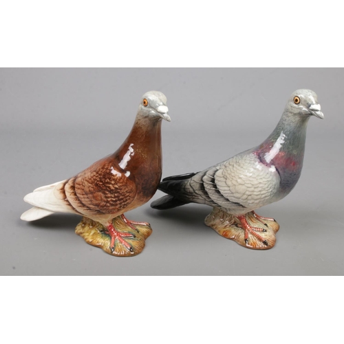 586 - Two Beswick figures of pigeons 

Hx14cm Approximately