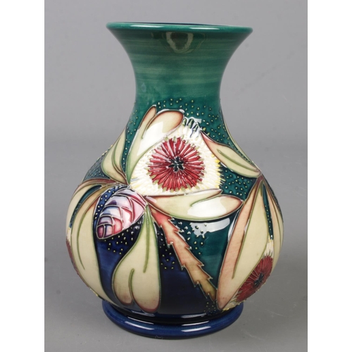 124 - A Moorcroft pottery vase decorated in the Albany pattern by Nicola Slaney. Date cypher for 2001. Hei... 