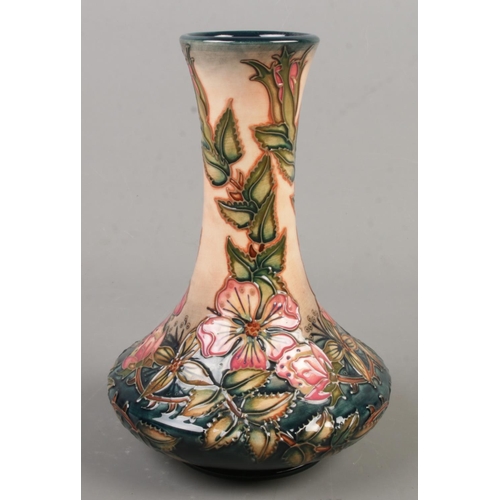 138 - A Moorcroft pottery vase decorated in the Sweet Briar pattern by Rachel Bishop. Date cypher for 1998... 