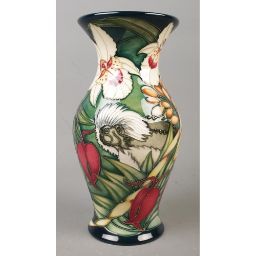 48 - A Moorcroft pottery vase decorated in the Cotton Top pattern by Sian Leeper. Date cypher for 2003. L... 
